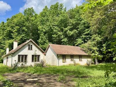 Haus kaufen in 3580 Horn