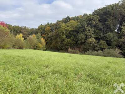 Grundstück kaufen in 8262 Ilz