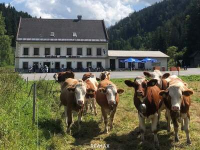 Gewerbeobjekt kaufen in 8630 Mariazell