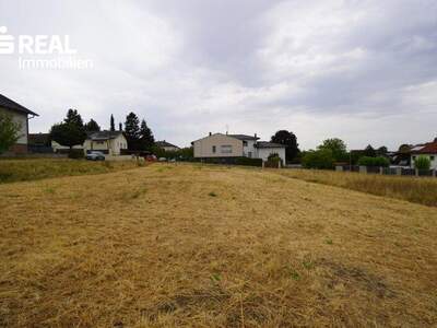Grundstück kaufen in 2020 Magersdorf (Bild 3)