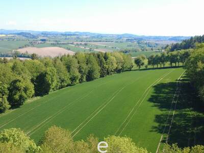 Gewerbeobjekt kaufen in 4076 St. Marienkirchen (Bild 1)
