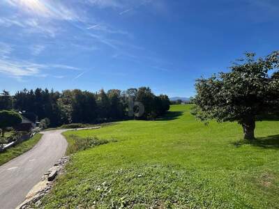 Grundstück kaufen in 4400 Steyr