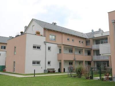 Wohnung mieten in 2485 Wimpassing