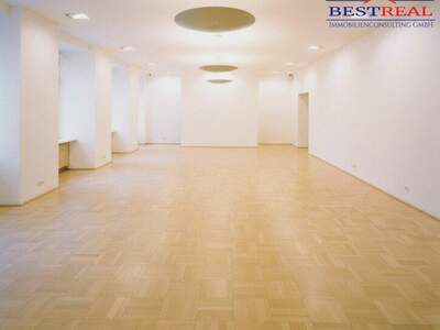 Einzelhandel mieten in 1010 Wien