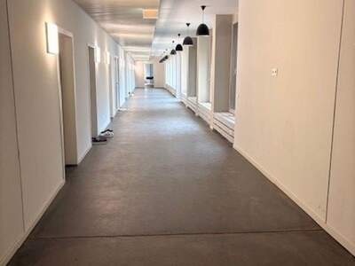 Gewerbeobjekt mieten in 8042 Graz (Bild 3)