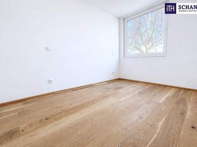 Terrassenwohnung kaufen in 2514 Traiskirchen (Bild 3)