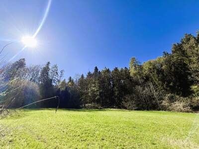 Grundstück kaufen in 6075 Tulfes (Bild 3)