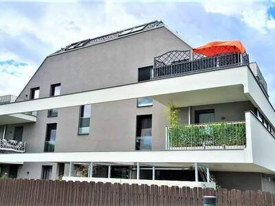 Immobilie kaufen in 1220 Wien