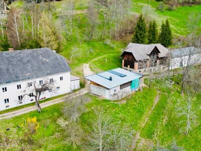 Haus kaufen in 9473 Lavamünd (Bild 3)