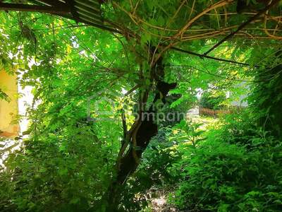 Haus kaufen in 9363 Gyóró (Bild 5)