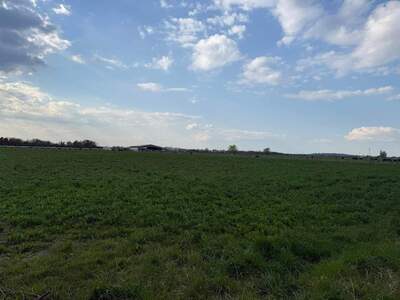 Grundstück kaufen in 2444 Seibersdorf