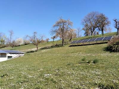 Grundstück kaufen in 4502 Sankt Marien (Bild 5)