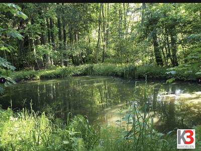 Haus mit Garten kaufen in 83236 Übersee (Bild 2)