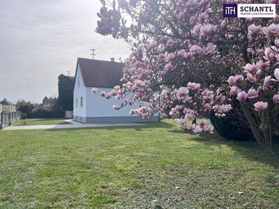 Einfamilienhaus kaufen in 7361 Strebersdorf (Bild 2)