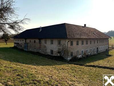 Haus kaufen in 4522 Sierning (Bild 4)