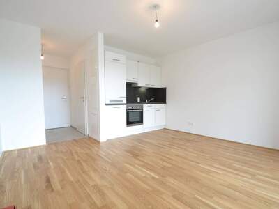 Wohnung mieten in 8055 Graz