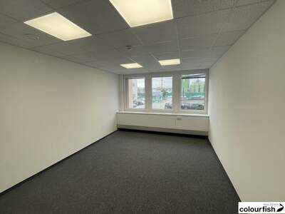 Gewerbeobjekt mieten in 1230 Wien (Bild 2)