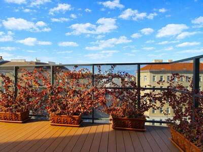 Eigentumswohnung in 1100 Wien