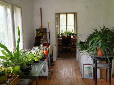 Altbauwohnung kaufen in 3002 Purkersdorf (Bild 3)