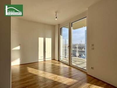 Terrassenwohnung mieten in 1220 Wien (Bild 3)