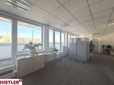 Gewerbeobjekt mieten in 2340 Mödling (Bild 3)