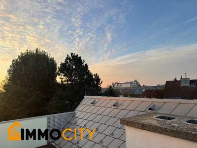 Terrassenwohnung mieten in 1190 Wien (Bild 3)