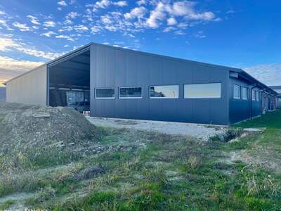 Gewerbeobjekt kaufen in 8403 Lang