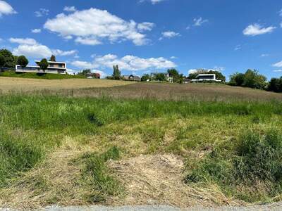 Grundstück kaufen in 8413 Sankt Georgen (Bild 4)