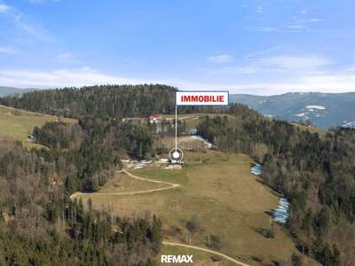 Anlageobjekt kaufen in 9473 Lavamünd
