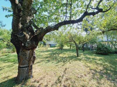 Grundstück kaufen in 2380 Perchtoldsdorf