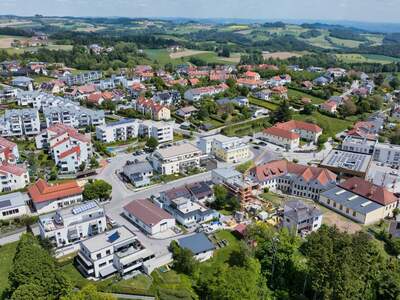Terrassenwohnung kaufen in 4040 Altlichtenberg (Bild 5)