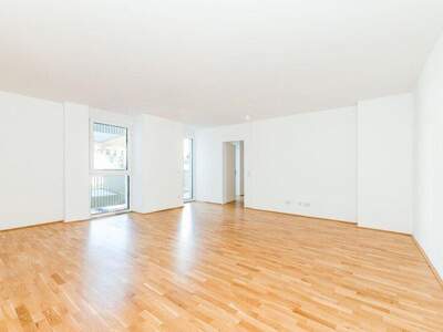 Terrassenwohnung mieten in 1060 Wien (Bild 5)