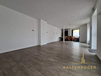 Anlageobjekt kaufen in 2620 Neunkirchen (Bild 3)