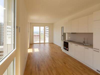 Wohnung mit Balkon mieten in 1220 Wien (Bild 1)