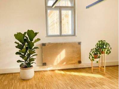 Büro / Praxis mieten in 2500 Baden
