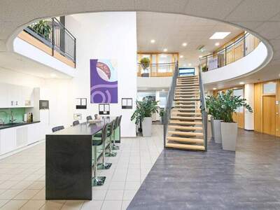 Büro / Praxis mieten in 2351 Wr. Neudorf (Bild 2)