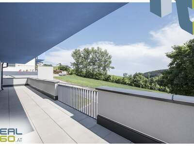 Terrassenwohnung kaufen in 4202 Kirchschlag (Bild 2)