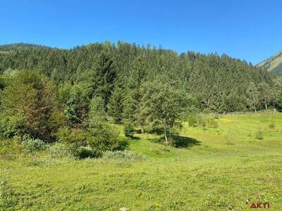 Grundstück kaufen in 8953 Donnersbachwald (Bild 3)