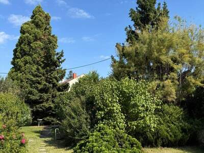 Grundstück kaufen in 1210 Wien (Bild 3)