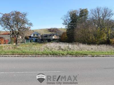 Grundstück kaufen in 2116 Nodendorf (Bild 4)