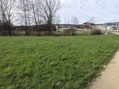 Gewerbeobjekt kaufen in 4760 Raab (Bild 5)