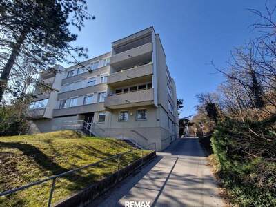 Wohnung mit Balkon kaufen in 2540 Bad Vöslau (Bild 1)
