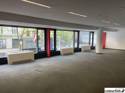 Gewerbeobjekt mieten in 1070 Wien (Bild 3)