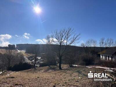 Grundstück kaufen in 4202 Althellmonsödt