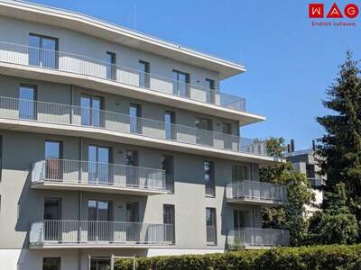 Terrassenwohnung mieten in 8055 Graz (Bild 1)