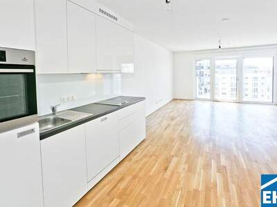 Terrassenwohnung mieten in 1030 Wien (Bild 4)