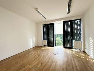 Gewerbeobjekt mieten in 4600 Wels (Bild 3)