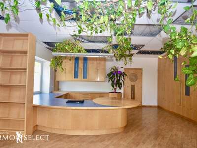 Büro / Praxis mieten in 3374 Säusenstein (Bild 1)