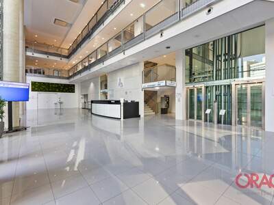 Gewerbeobjekt mieten in 1220 Wien (Bild 2)