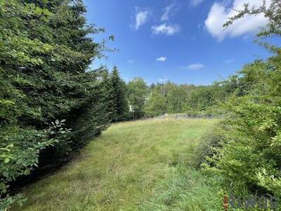 Grundstück kaufen in 3032 Eichgraben